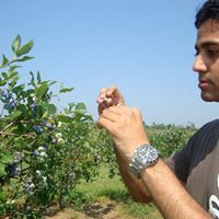 Milind Sheth Photo 8