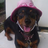 Cherie Bailey Photo 20