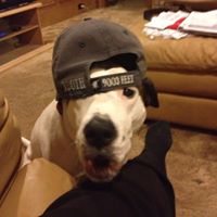 Sharon Fischer Photo 2