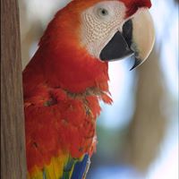 Julia Baird Photo 33