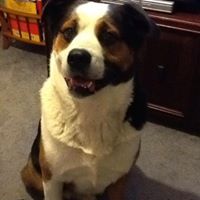 Traci Monroe Photo 18