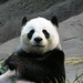 Hui Lin Photo 22