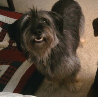 Steve Mccarthy Photo 10