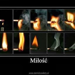 Robert Biondo Photo 9