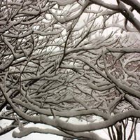 Marianne Johnson Photo 6