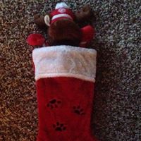 Jenny Fischer Photo 30