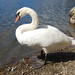 Virginia Lake Photo 14