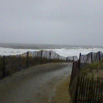 Nancy Kuhn Photo 19