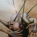Sarah Ledbetter Photo 9