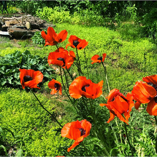 Alex Shaffer Photo 34