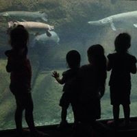 Sarah Rushing Photo 16