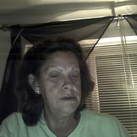 Teresa Field Photo 14