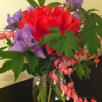 Laura Wilson Photo 20