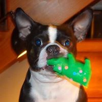 Anne Abbott Photo 18