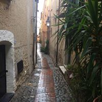 Kathy Mccarty Photo 5