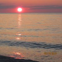 Cathy Stephenson Photo 25