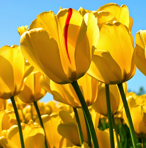 Rachel Lang Photo 21