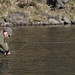 Shannon Trout Photo 27
