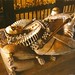Christine Abbey Photo 16