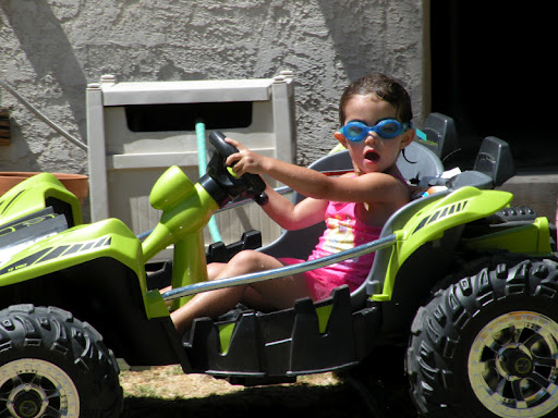 Peter Gilmore Photo 38 Peter Gilmore Photo 38