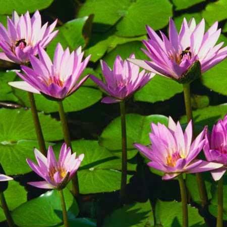 Tara Alexander Photo 38