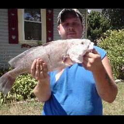 Jared Simpson Photo 27