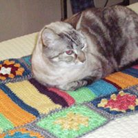 Judy Shepherd Photo 34