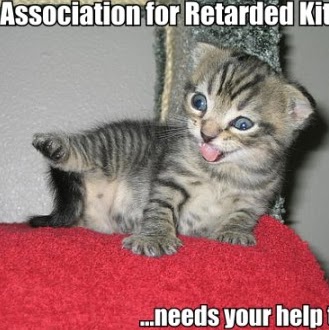 George Palmer Photo 26