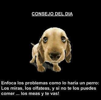 Jose Caballero Photo 40