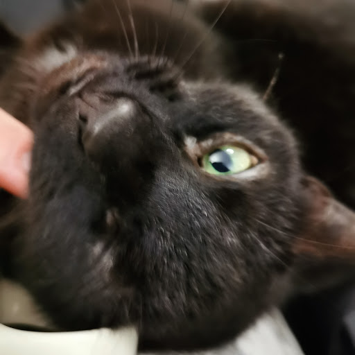 Paul Slack Photo 29 Paul Slack Photo 29