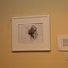 Don Wilkinson Photo 14