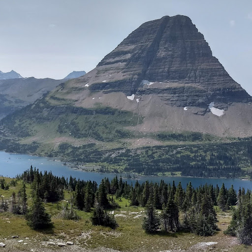 Zachary Taylor Photo 37 Zachary Taylor Photo 37