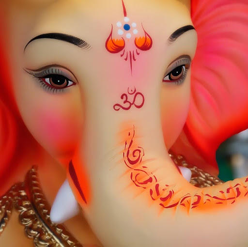 Indraneel Chakraborty Photo 15