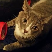 Rebecca Bower Photo 13