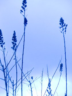 Paula Morgan Photo 12 Paula Morgan Photo 12