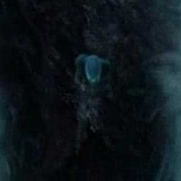 Jason Shearman Photo 9