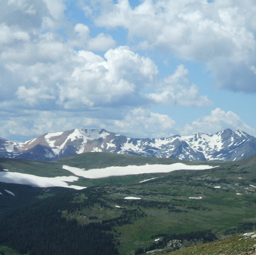 Lisa Cosgrove Photo 37