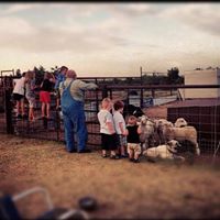 Adam Rich Photo 12 Adam Rich Photo 12