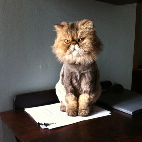 Robert Hutson Photo 25