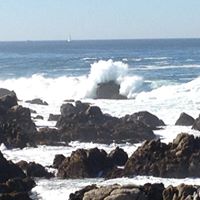 Charlene Phipps Photo 6