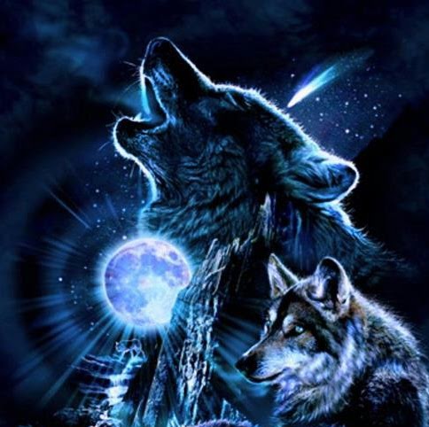 Tammy Stuart Photo 14