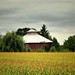 Steven Custer Photo 4