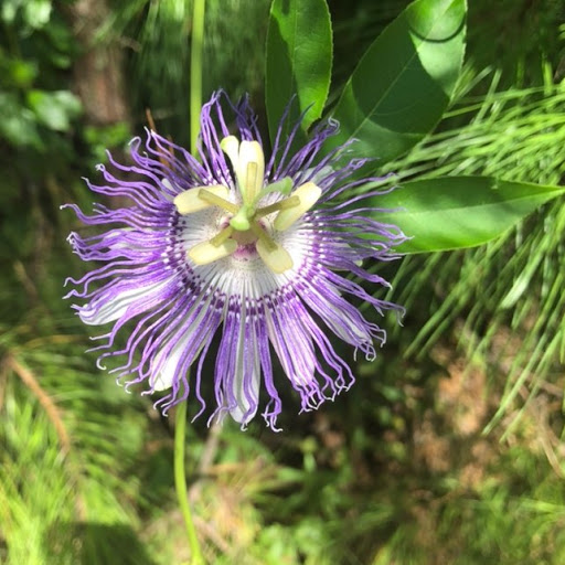 Margaret Stringer Photo 7