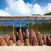 David Nash Photo 42