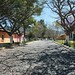Rudy Rosa Photo 25