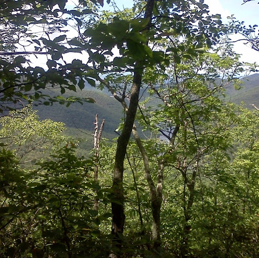 Jimmy Ray Photo 1 Jimmy Ray Photo 1