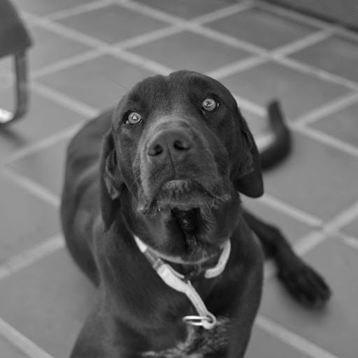 Jason Parker Photo 37