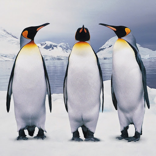 Jenny Alderson Photo 1