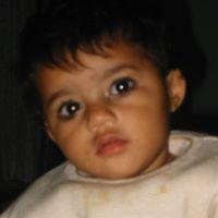 Muhammad Hafeez Photo 27 Muhammad Hafeez Photo 27