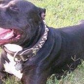 Jason Keith Photo 29